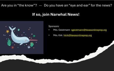 Narwhal news