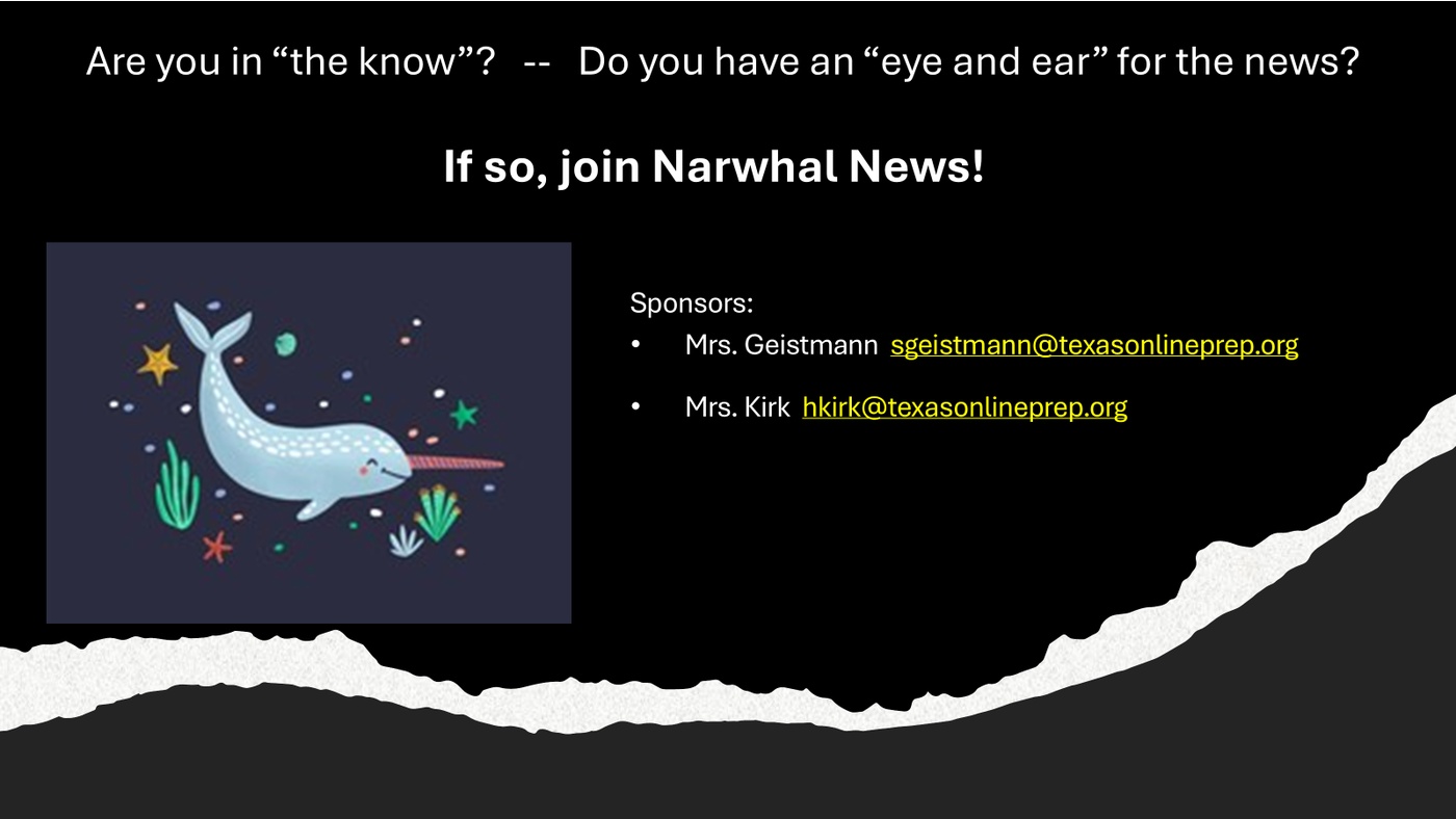 Narwhal news