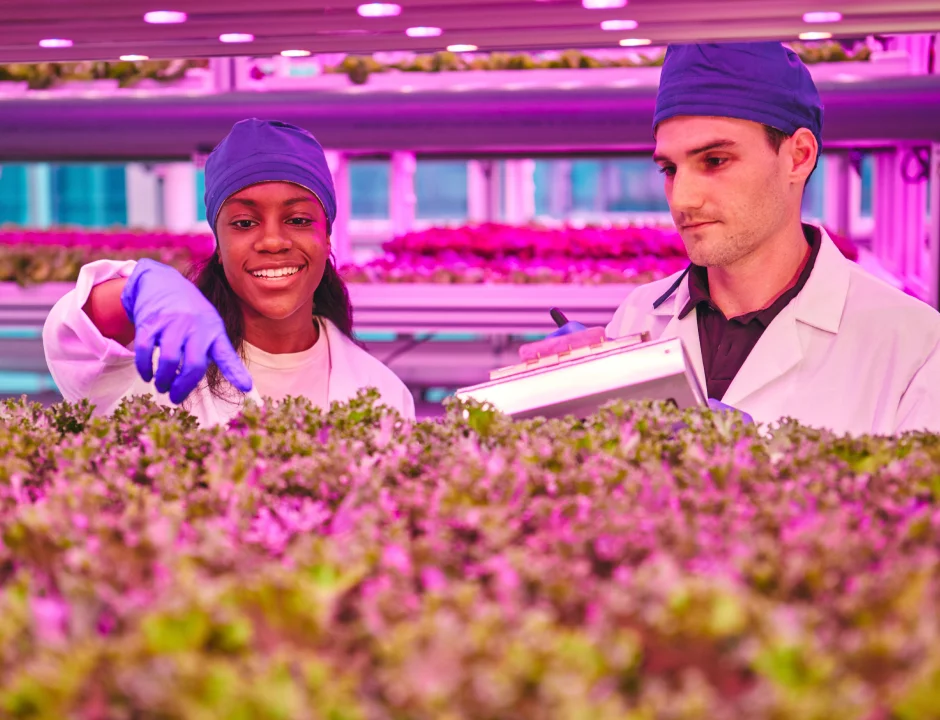 Agriculture students working